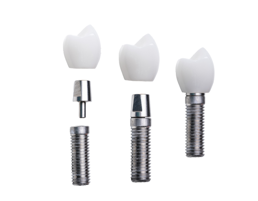 Stainless Steel Implant